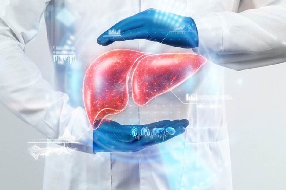 Does The Liver Regenerate? Understanding Fatty Liver Disease: Causes, Symptoms, Diagnosis, and Management - SRM Global Hospitals Pvt Ltd